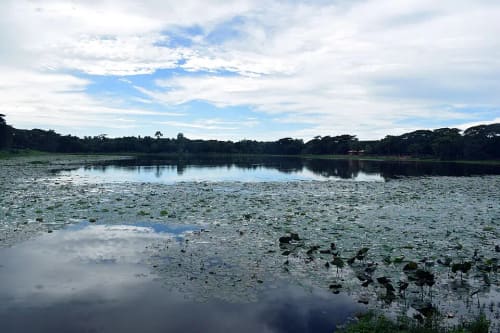 ঘোড়া দীঘি, বাগেরহাট