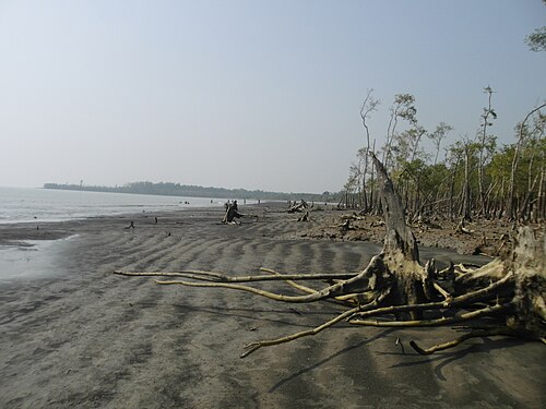 কটকা, সুন্দরবন, বাগেরহাট