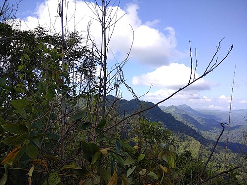 যোগী হাফং, বান্দরবান