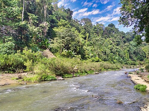 রেমাক্রি, বান্দরবান