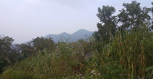 সিপ্পি আরসুয়াং, বান্দরবান