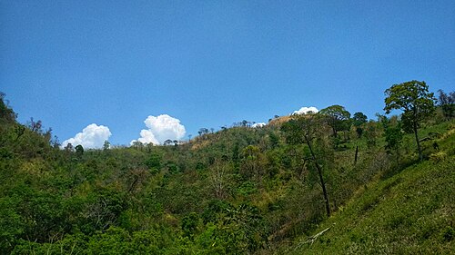 তাজিংডং, বান্দরবান