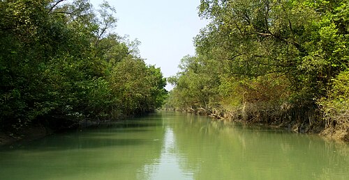 চর কুকরি মুকরি, ভোলা