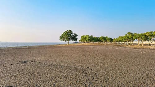 বাঁশখালী সমুদ্র সৈকত, চট্টগ্রাম