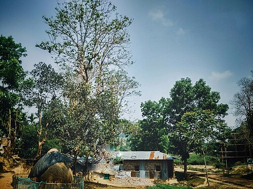 দুধপুকুরিয়া-ধোপাছড়ি বন্যপ্রাণী অভয়ারণ্য, চট্টগ্রাম