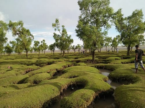 গুলিয়াখালী সমুদ্র সৈকত, চট্টগ্রাম