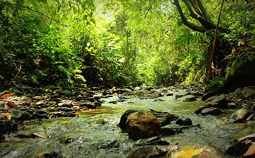হাজারিখিল বন্যপ্রাণী অভয়ারণ্য, চট্টগ্রাম
