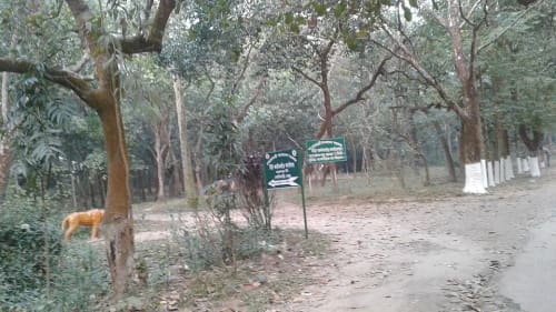 রাজেশপুর ইকোপার্ক, কুমিল্লা