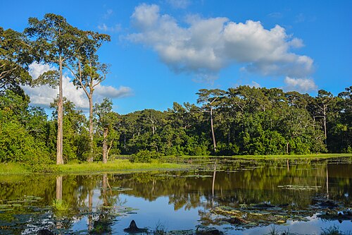 ডুলাহাজারা সাফারি পার্ক, কক্সবাজার