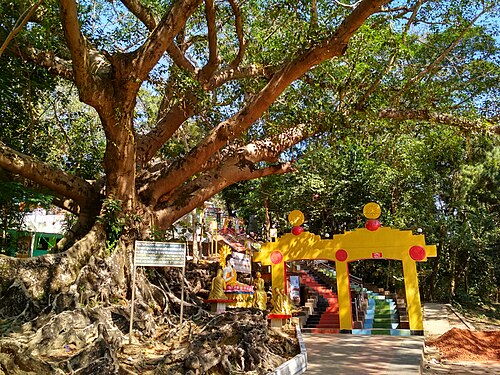 রাংকূট বনাশ্রম বৌদ্ধ বিহার, কক্সবাজার