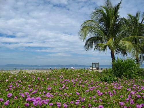 সেন্ট মার্টিন দ্বীপ, কক্সবাজার