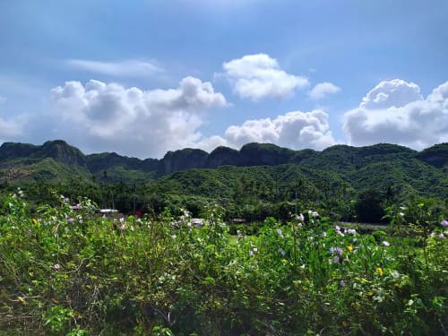 টেকনাফ বন্যপ্রাণী অভয়ারণ্য, কক্সবাজার