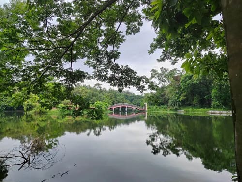 জাতীয় উদ্ভিদ উদ্যান, ঢাকা