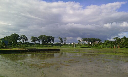 বিজয় সিংহ দীঘি, ফেনী
