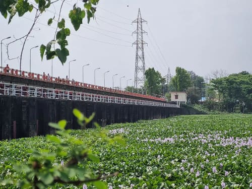 মুহুরী প্রজেক্ট, ফেনী
