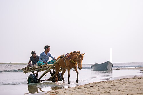 বালাসী ঘাট, গাইবান্ধা