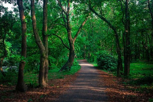 ভাওয়াল জাতীয় উদ্যান, গাজীপুর