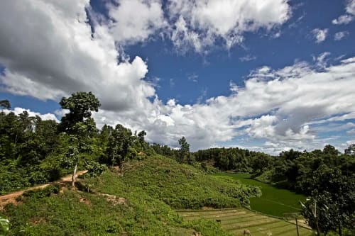 রেমা-কালেঙ্গা অভয়ারণ্য, হবিগঞ্জ