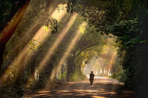 সাতছড়ি জাতীয় উদ্যান, হবিগঞ্জ
