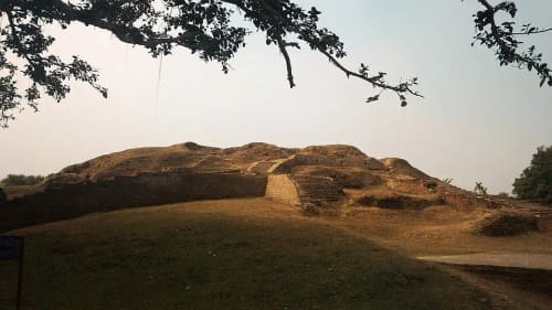 ভরত ভায়না, যশোর