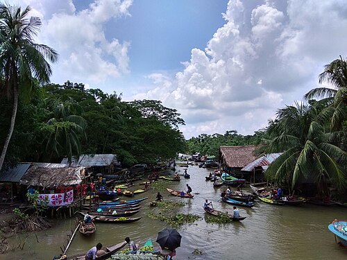 ভীমরুলি ভাসমান পেয়ারা বাজার, ঝালকাঠি