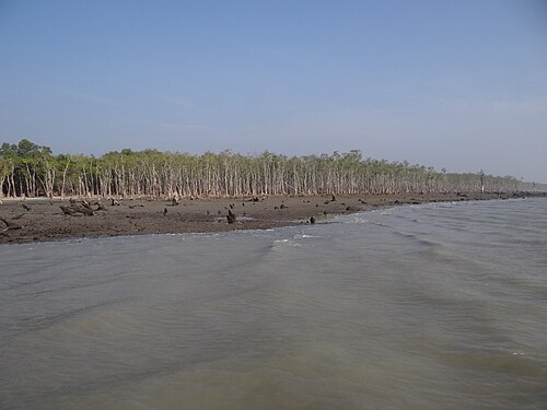 হিরণ পয়েন্ট, সুন্দরবন, খুলনা