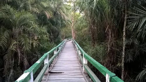 করমজল, সুন্দরবন, খুলনা