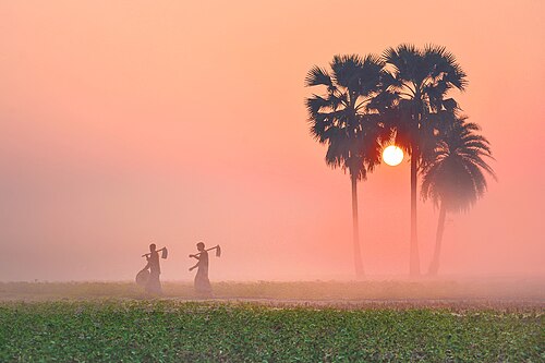 বর্ষিজোড়া ইকোপার্ক, মৌলভীবাজার
