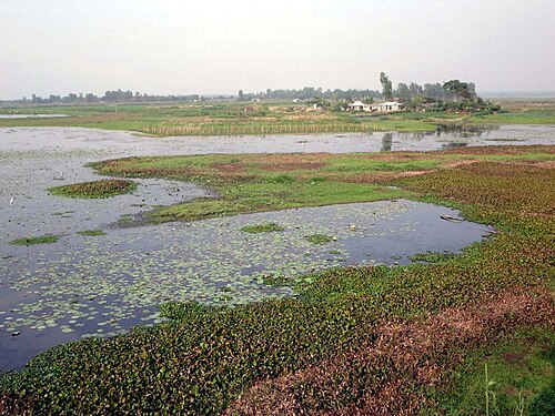 হাইল হাওর, মৌলভীবাজার