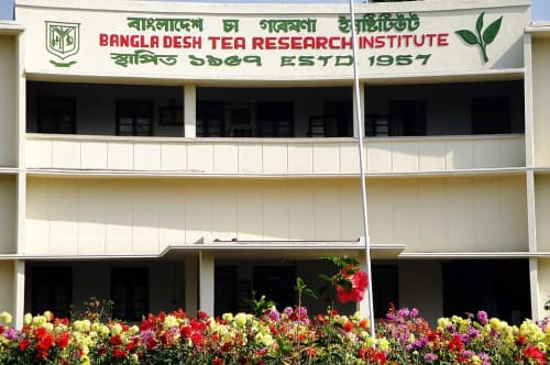 চা গবেষণা ইনস্টিটিউট, মৌলভীবাজার