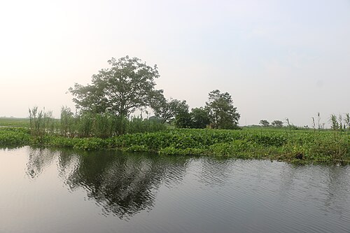 আড়িয়াল বিল, মুন্সিগঞ্জ