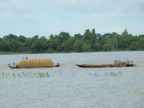 চলনবিল, নাটোর