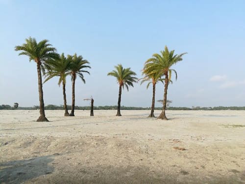 নিঝুম দ্বীপ, নোয়াখালী