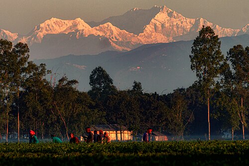 তেঁতুলিয়া (কাঞ্চনজঙ্ঘা দর্শন), পঞ্চগড়