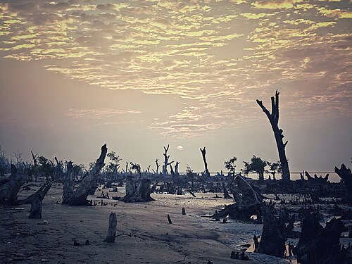 গঙ্গামতির চর, পটুয়াখালী