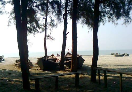 ঝাউ বন, পটুয়াখালী