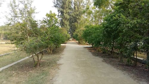 কুয়াকাটা জাতীয় উদ্যান, পটুয়াখালী