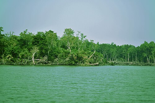 লেবুর চর, পটুয়াখালী