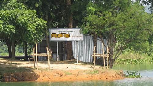 পেদা টিং টিং, রাঙ্গামাটি
