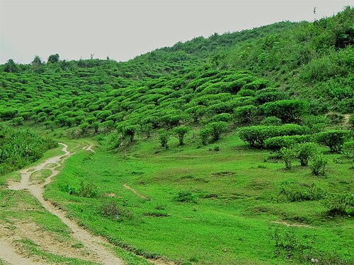 খাদিমনগর জাতীয় উদ্যান, সিলেট