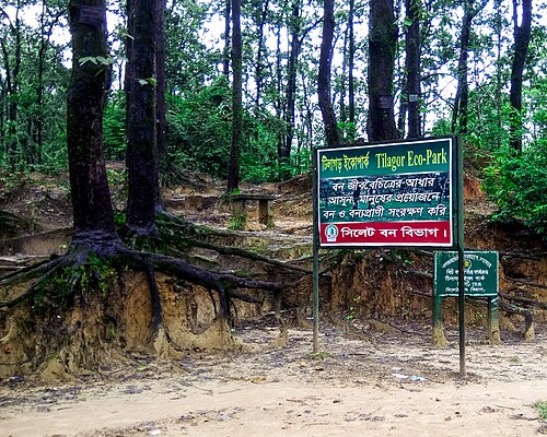 টিলাগড় ইকোপার্ক, সিলেট